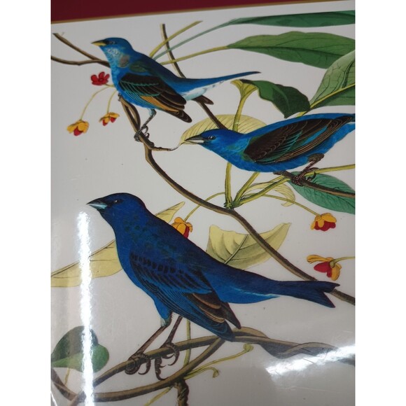 pimpernel placemats set 4 Audubon Birds Red Cardinal Indigo Grosbeak Cork Havell - Picture 8 of 10